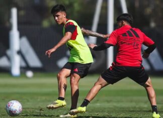 Fernando Ortiz analiza refuerzos y apunta a dos volantes para Colo Colo